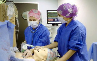 Apprentissage et simulation