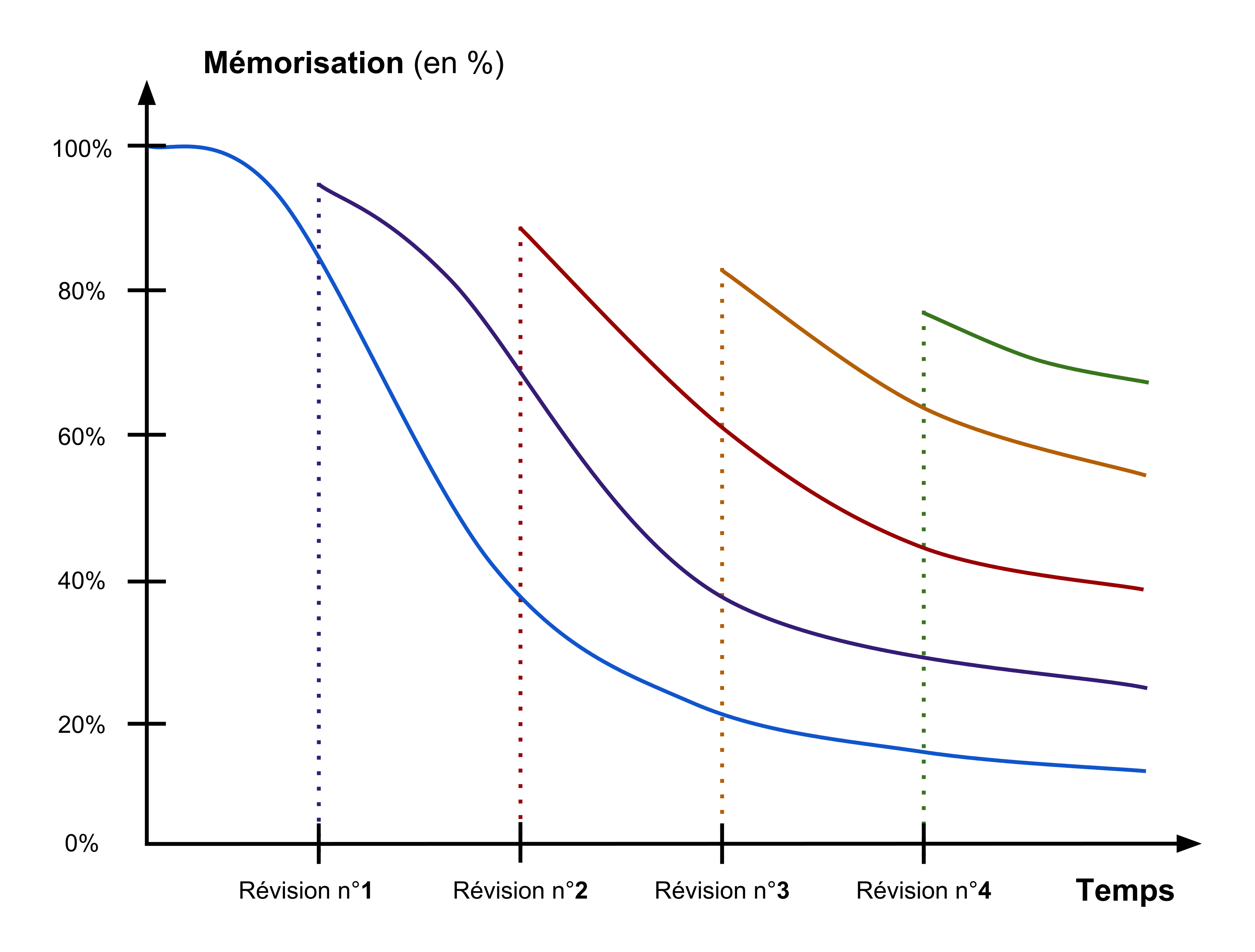 Courbe de l'oubli Par Adrien Moyaux — Travail personnel, CC BY-SA 4.0, https://commons.wikimedia.org/w/index.php?curid=71582683